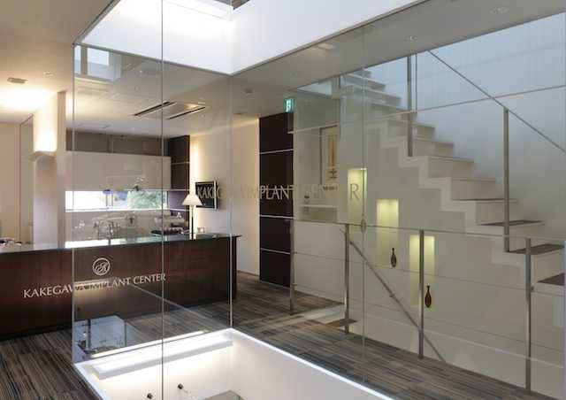 Gallery image 10
