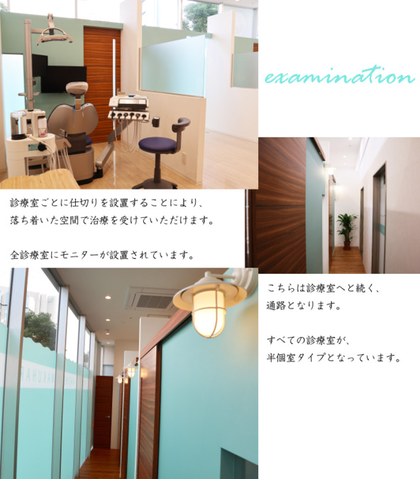 Gallery image 1