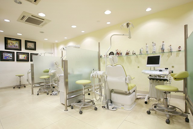 Gallery image 7